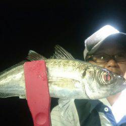 シースナイパー海龍 釣果