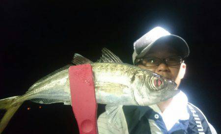 シースナイパー海龍 釣果