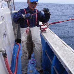 芳陽丸 釣果