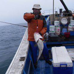 芳陽丸 釣果