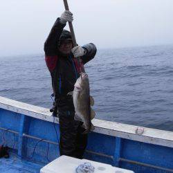 芳陽丸 釣果