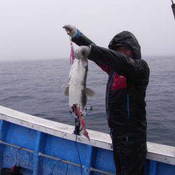芳陽丸 釣果