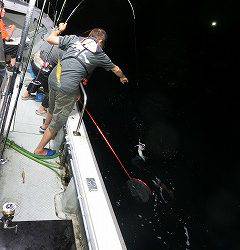 第二清洋丸 釣果