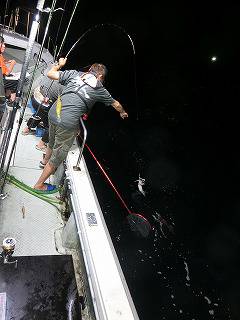 第二清洋丸 釣果