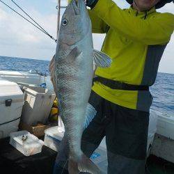 明日丸 釣果
