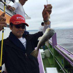 えさ政釣船店 釣果