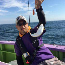 えさ政釣船店 釣果