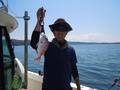 釣船 キティ 釣果