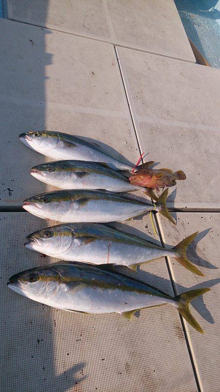 旭星釣りセンター 釣果
