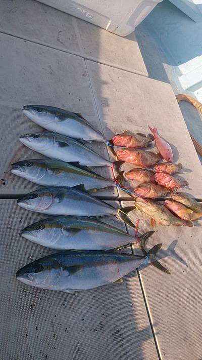 旭星釣りセンター 釣果