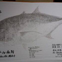 オーシャンパイオニア 釣果