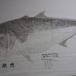 オーシャンパイオニア 釣果