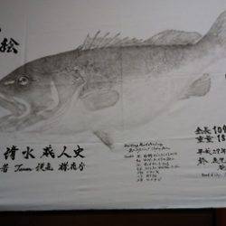 オーシャンパイオニア 釣果
