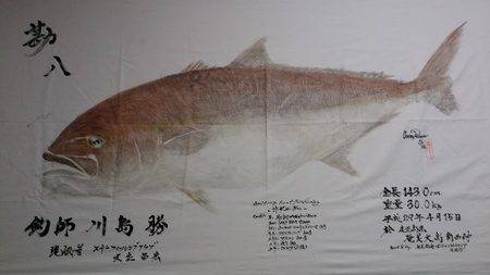 オーシャンパイオニア 釣果