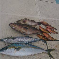 旭星釣りセンター 釣果