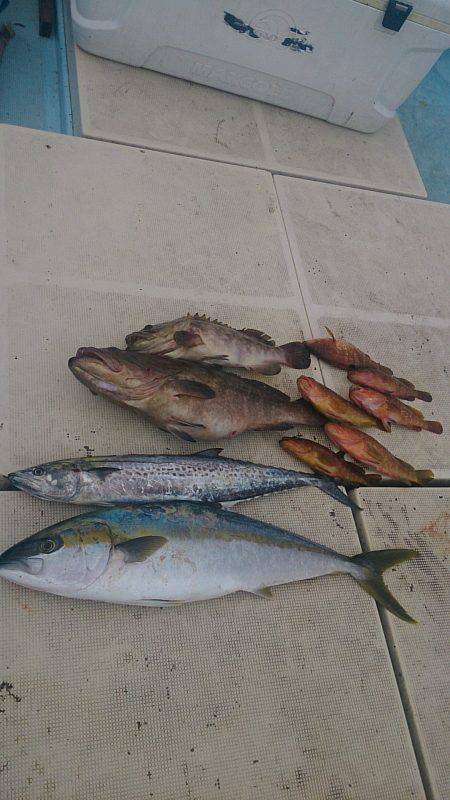 旭星釣りセンター 釣果