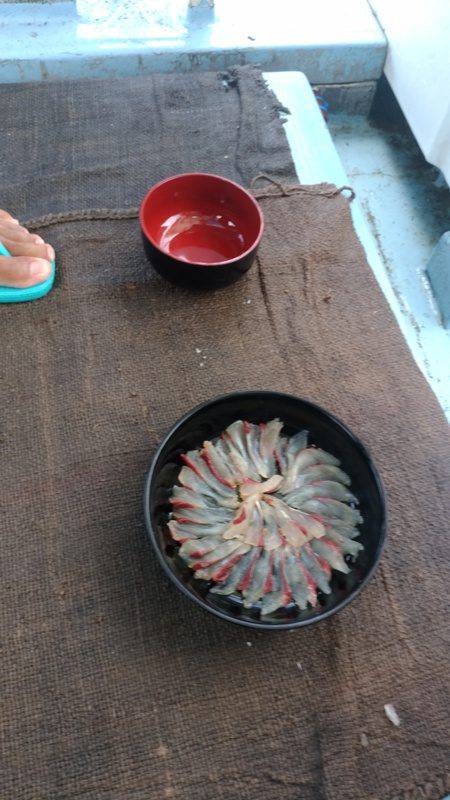 オーシャンパイオニア 釣果