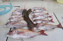 KIM Fishing Guide Ser…