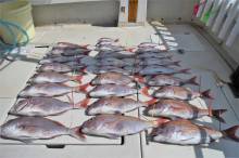 KIM Fishing Guide Ser…