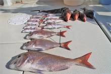 KIM Fishing Guide Ser…