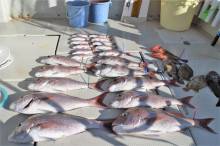 KIM Fishing Guide Ser…