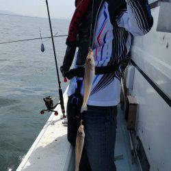 リトルワン 釣果