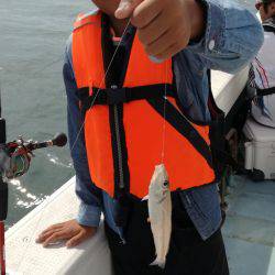 リトルワン 釣果