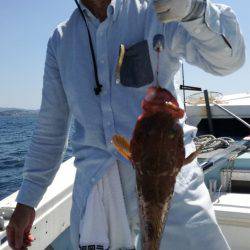 リトルワン 釣果