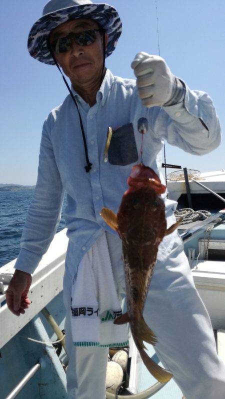 リトルワン 釣果