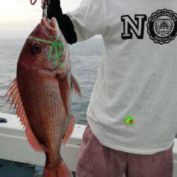 リトルワン 釣果