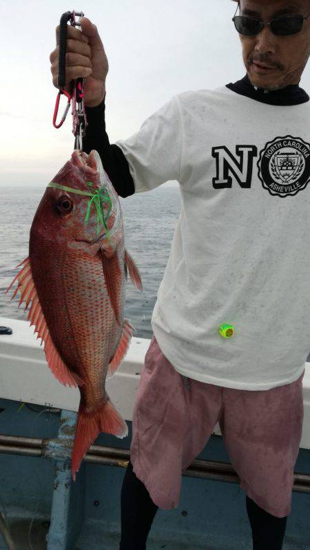 リトルワン 釣果