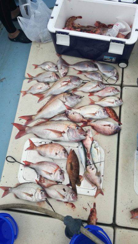 リトルワン 釣果