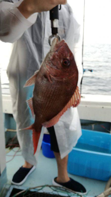 リトルワン 釣果