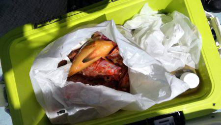 リトルワン 釣果