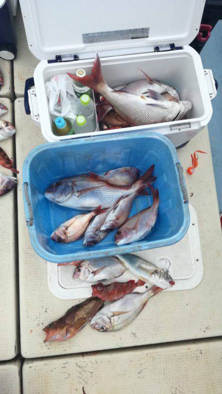 リトルワン 釣果