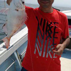 リトルワン 釣果