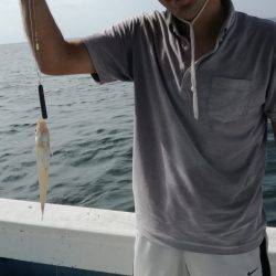 リトルワン 釣果