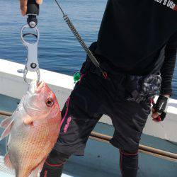 リトルワン 釣果