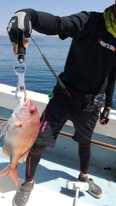 リトルワン 釣果