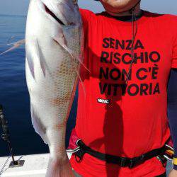 リトルワン 釣果