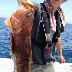 リトルワン 釣果