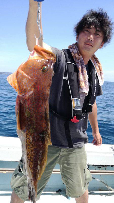 リトルワン 釣果