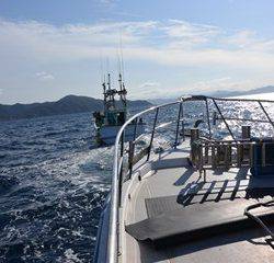 ジギング船 BLUEWATER 釣果