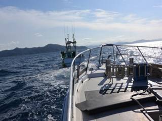 ジギング船 BLUEWATER 釣果