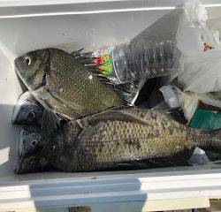 バラモン1号 釣果