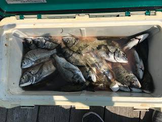 バラモン1号 釣果