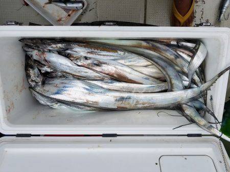 遊漁船　ニライカナイ 釣果