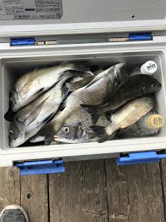 バラモン1号 釣果