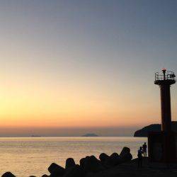 サイズはこれから