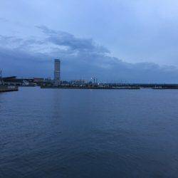 げきしぶアジング